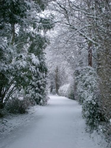 Holdfast Cottage Hotel Great Malvern Esterno foto